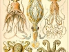 410px-tafel_054_300