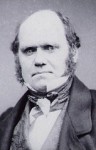 Charles Darwin, from Wikimedia Commons