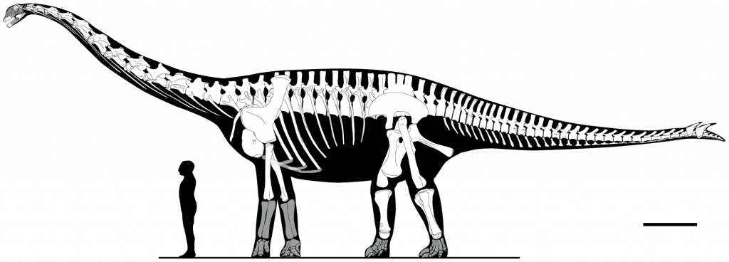 sauropod-cartoon