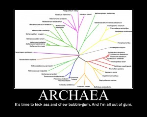 archaea mudlet scripts