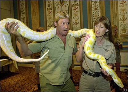 Crikey. That's a stupid python if I ever held one!